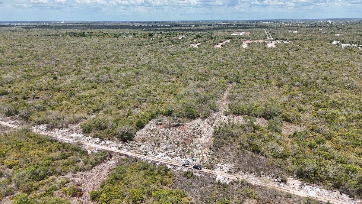 Lot in Temozón Norte, Mérida, photo 21 of 28