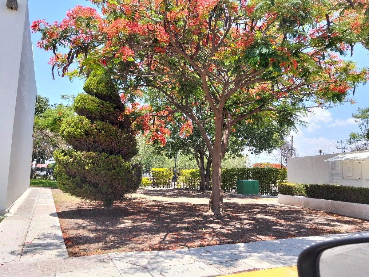 Casa em Paseos del Bosque, Corregidora, foto 28 de 28
