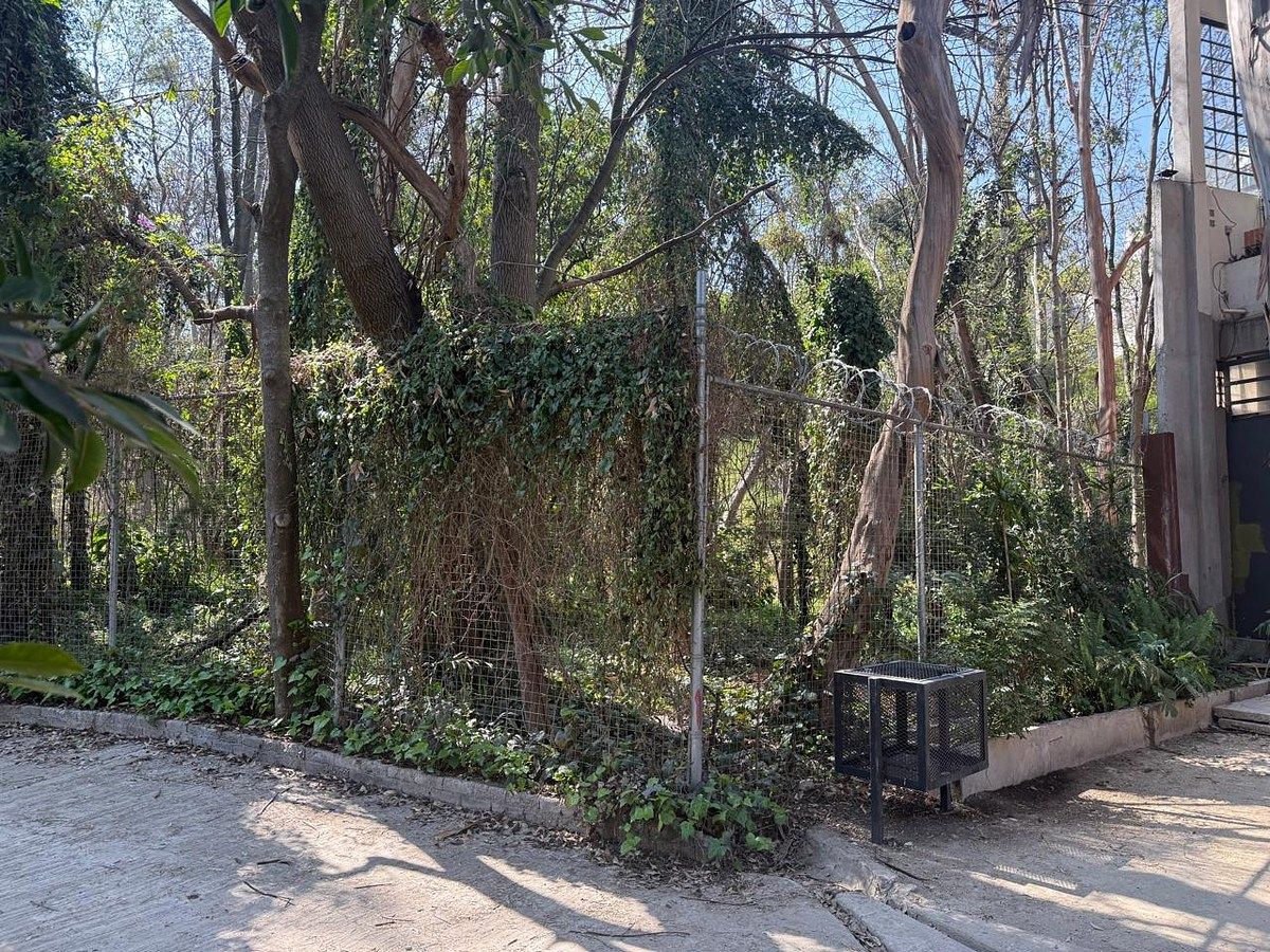 Lot in San Juan Totoltepec, Naucalpan de Juárez, photo 4 of 8