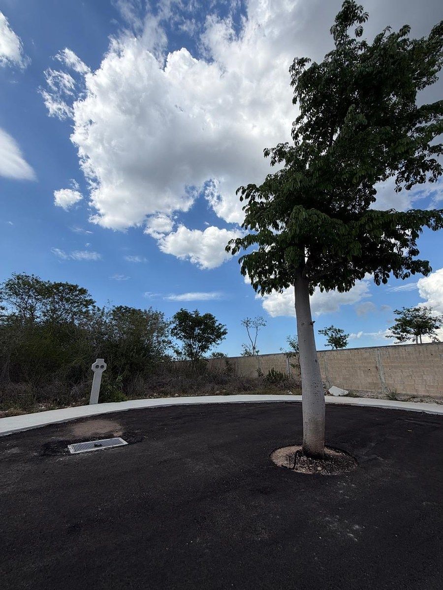 Terreno en Conkal, Conkal, foto 20 de 47