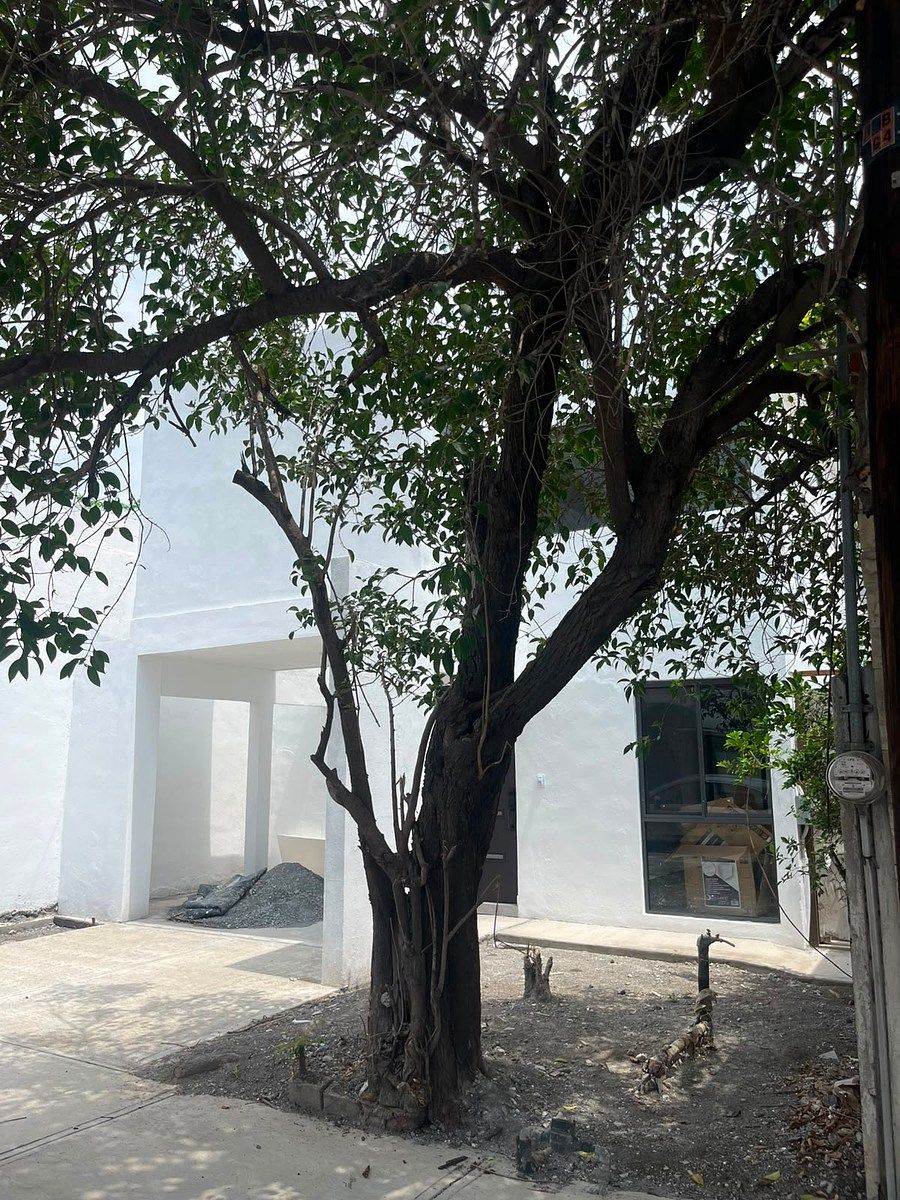 House in Mitras Norte, Monterrey, photo 21 of 27