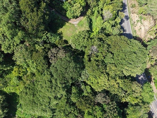 Land in Uvita, Dominical, photo 4 of 24