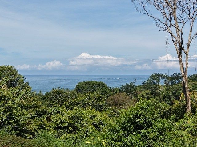 Stunning Ocean View Lot -2 Building Pads - 2 Wheel Drive Access, photo 1 of 24