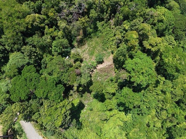 Land in Uvita, Dominical, photo 5 of 24