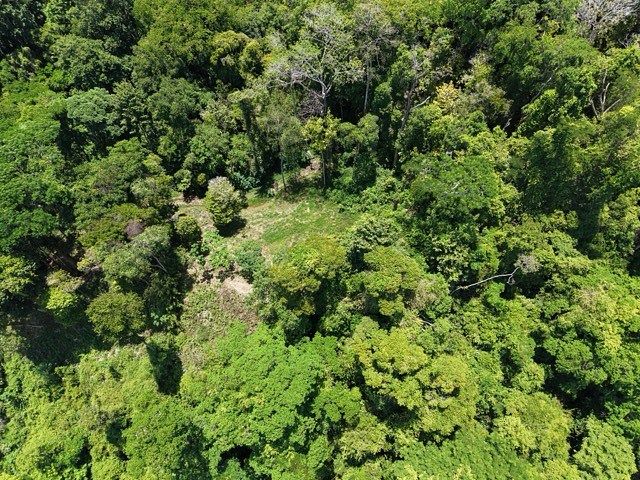 Land in Uvita, Dominical, photo 8 of 24