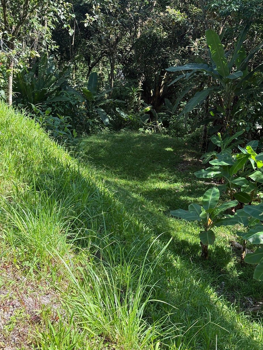 Land in Uvita, Dominical, photo 9 of 24