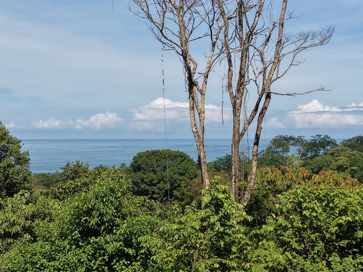 Land in Uvita, Dominical, photo 10 of 24