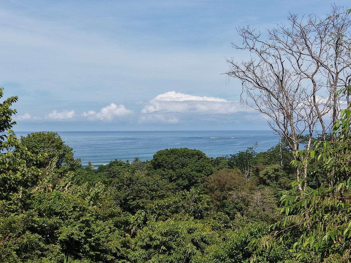 Land in Uvita, Dominical, photo 11 of 24