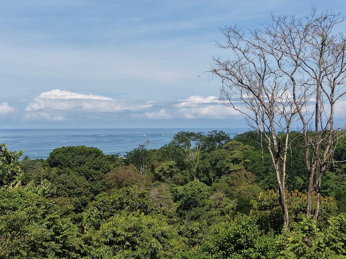 Land in Uvita, Dominical, photo 13 of 24