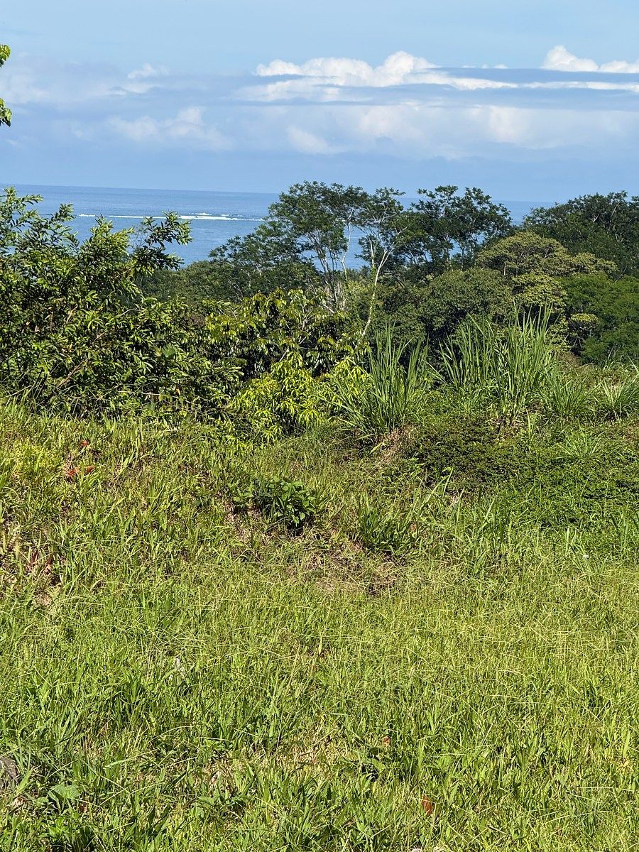 Land in Uvita, Dominical, photo 16 of 24