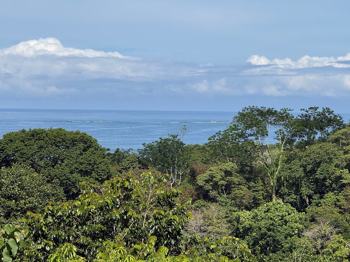 Land in Uvita, Dominical, photo 19 of 24