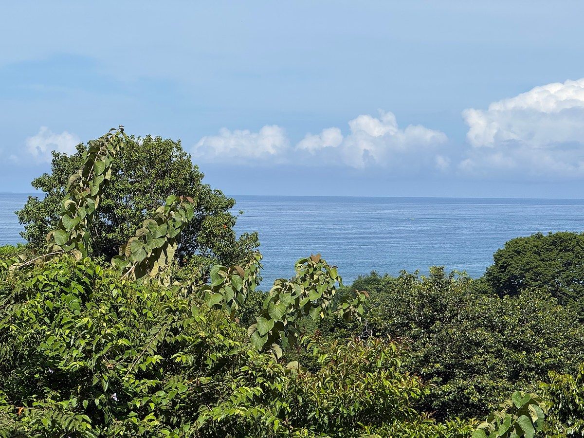 Land in Uvita, Dominical, photo 20 of 24