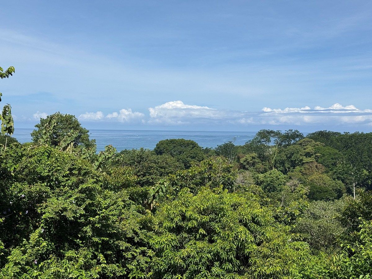 Land in Uvita, Dominical, photo 21 of 24