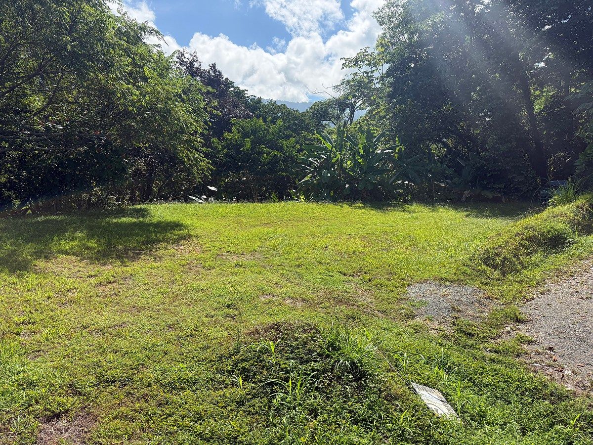 Land in Uvita, Dominical, photo 23 of 24