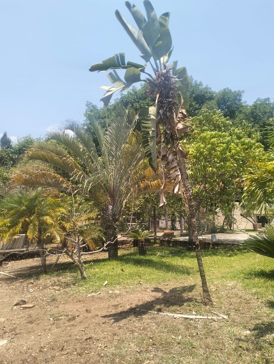 Quinta en El Jobo, Tuxtla Gutiérrez, foto 20 de 29