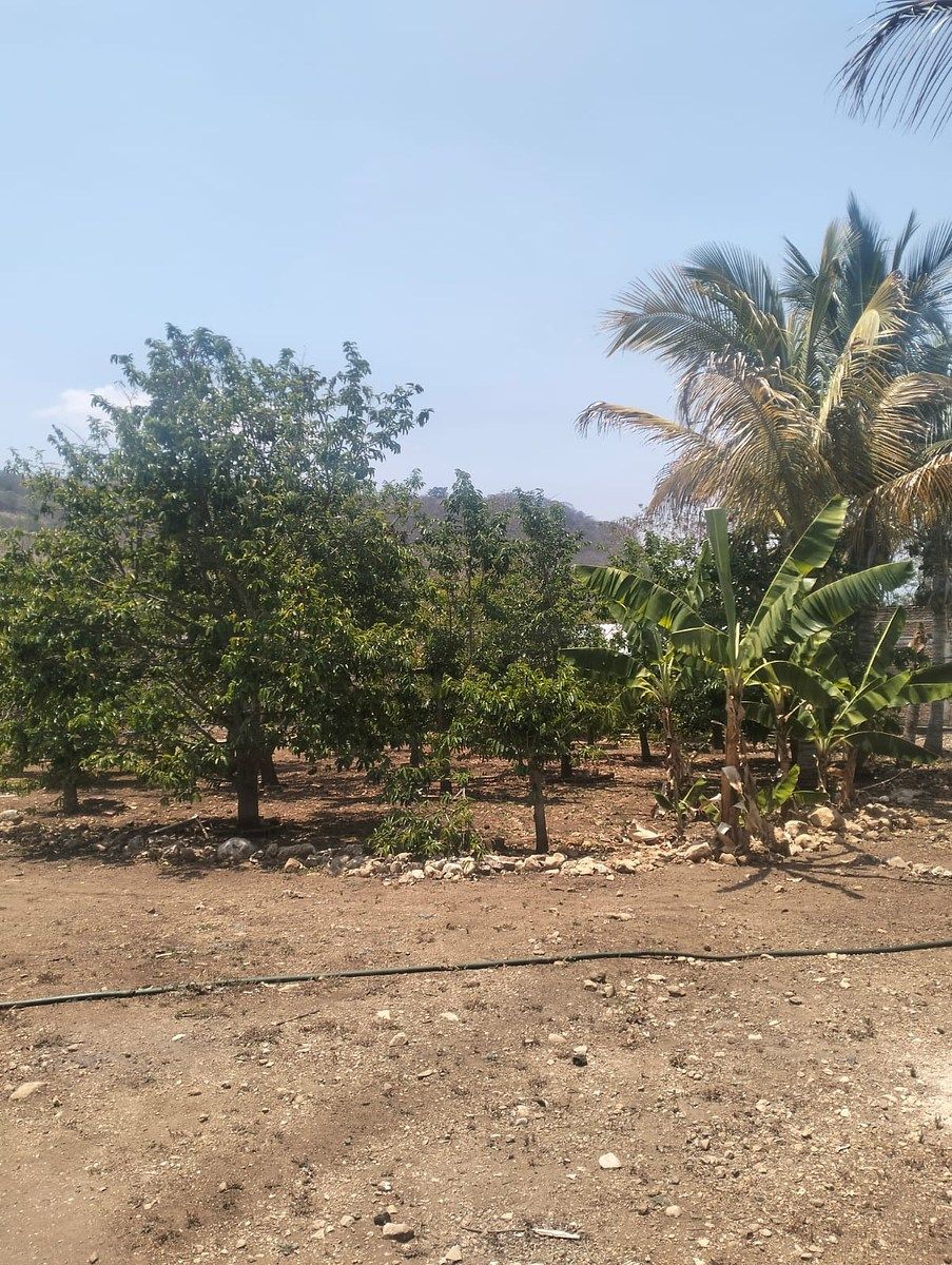 Quinta en El Jobo, Tuxtla Gutiérrez, foto 21 de 29