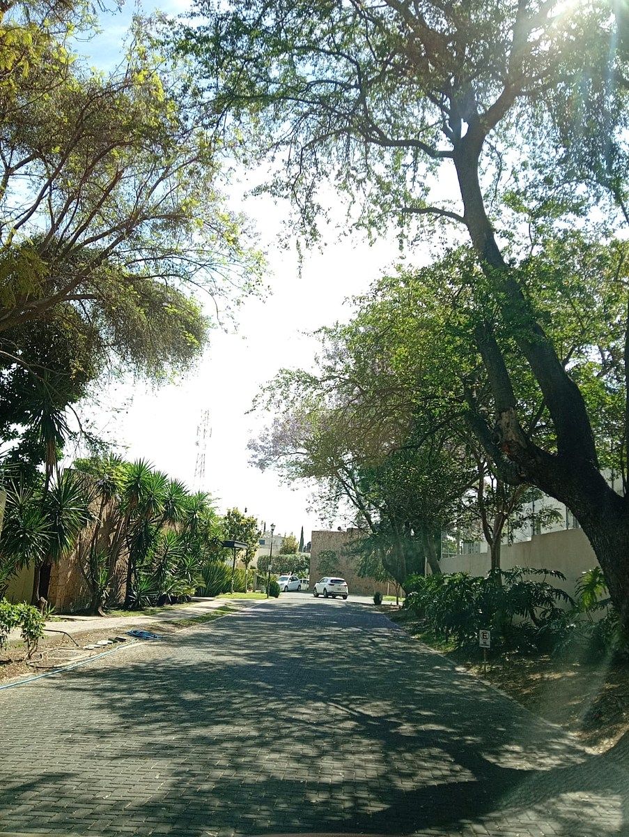 Casa em Fraccionamiento Bugambilias, Zapopan, foto 18 de 32