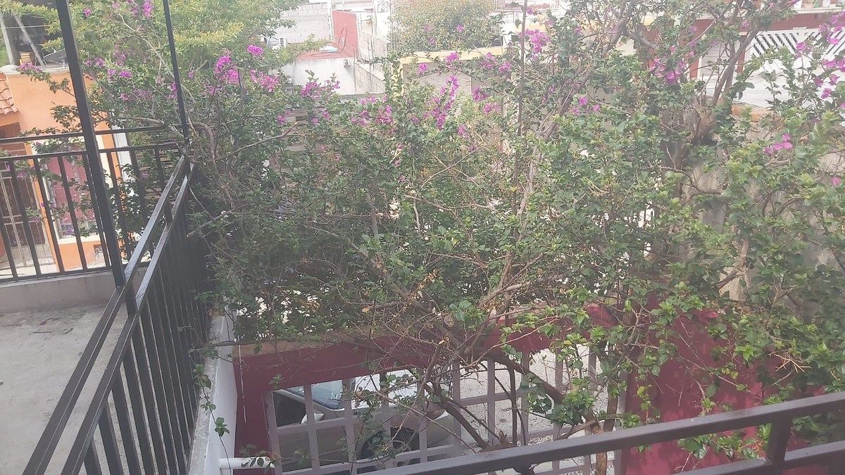 House in Jardines del Grijalva, Chiapa de Corzo, photo 27 of 34
