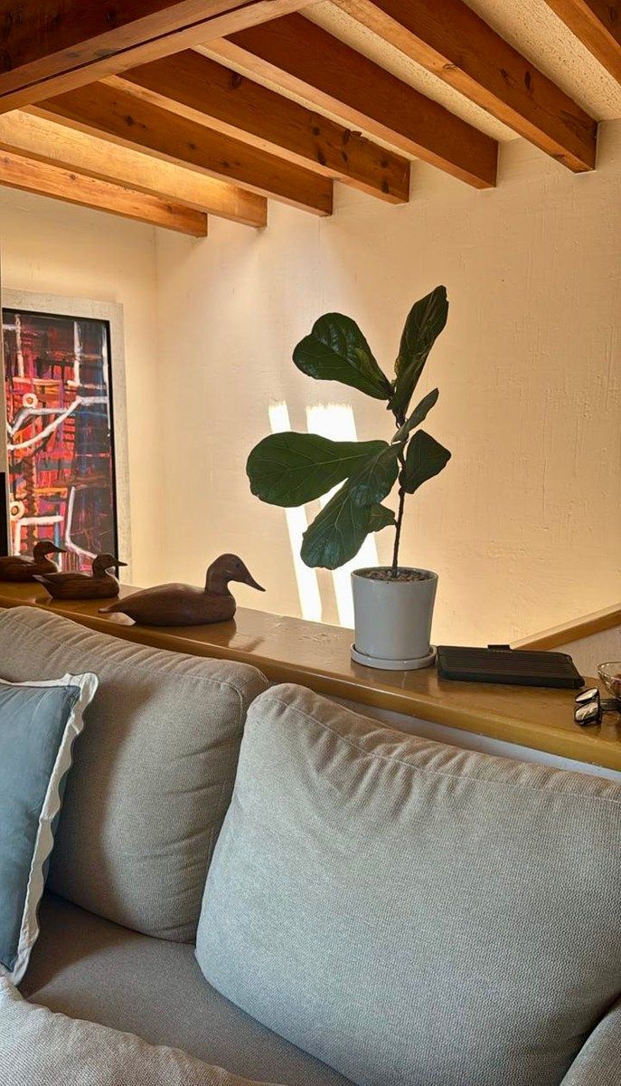 House in Cuajimalpa, Cuajimalpa de Morelos, photo 6 of 13