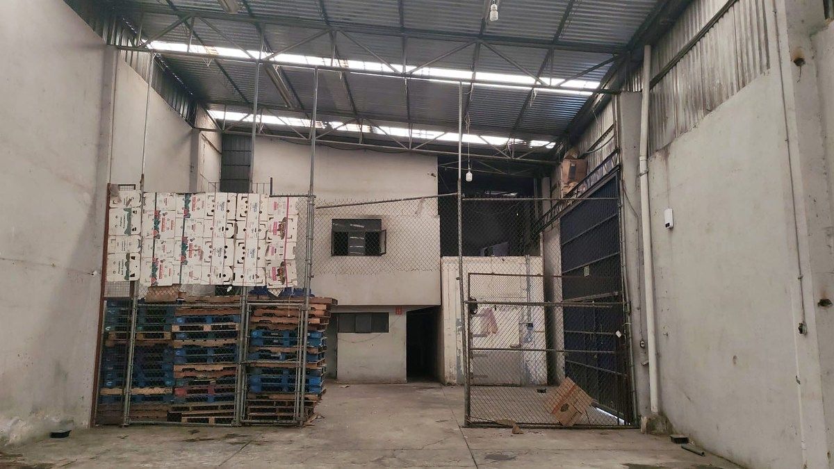 Bodega comercial en San Simón Ticumac, Benito Juárez, foto 6 de 17