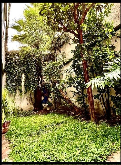 House in Irrigación, Miguel Hidalgo, photo 9 of 17