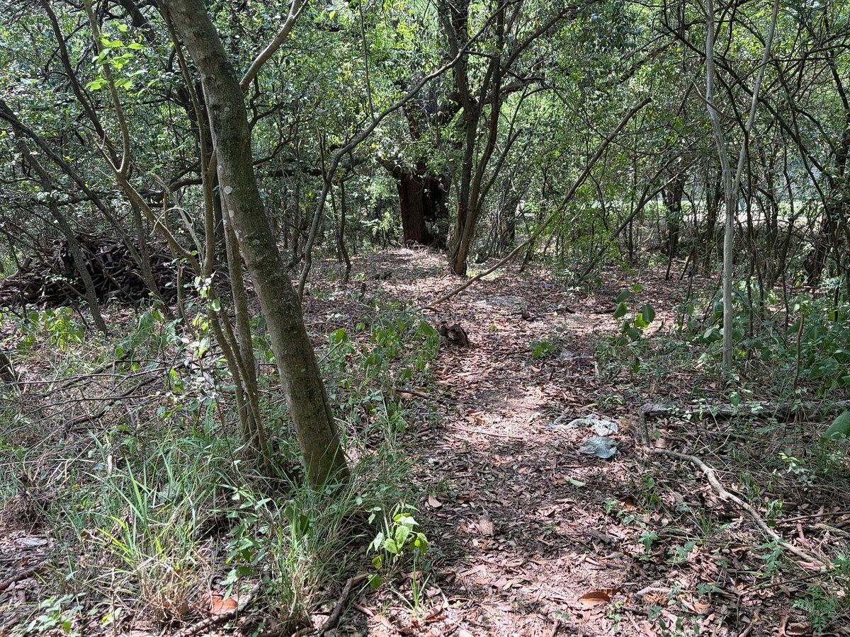 Terreno en San Agustin Campestre, San Pedro Garza García, foto 7 de 8