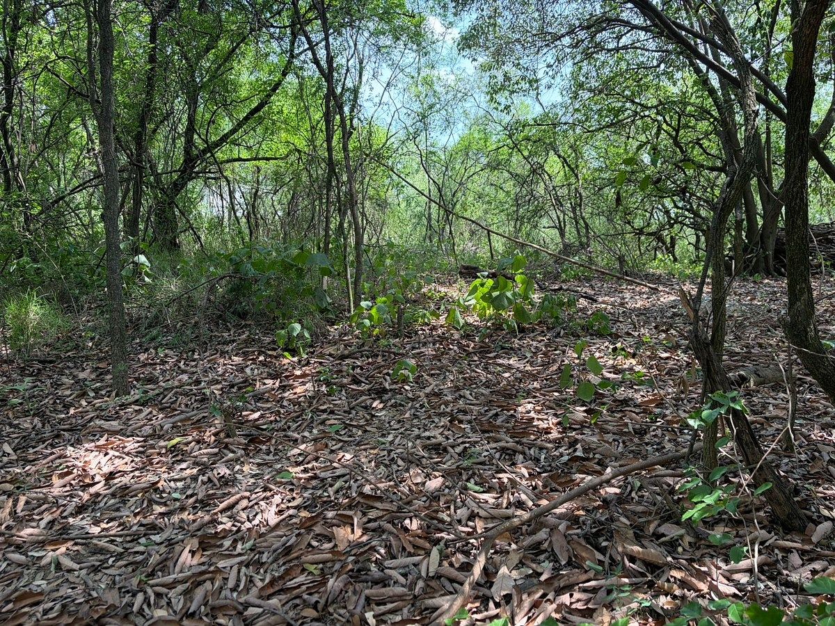 Terreno en San Agustin Campestre, San Pedro Garza García, foto 8 de 8
