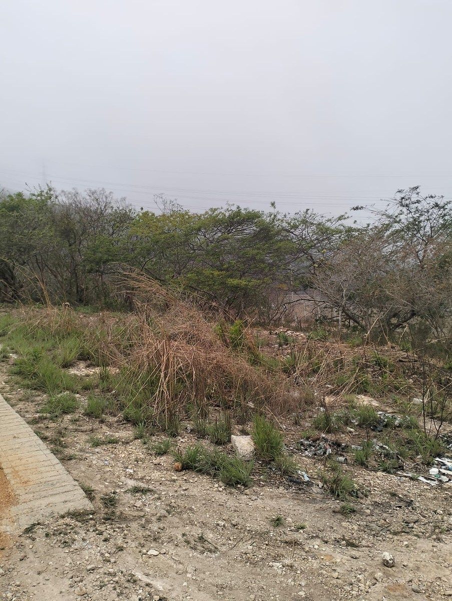 Terreno en Viva Cárdenas, San Fernando, foto 2 de 9