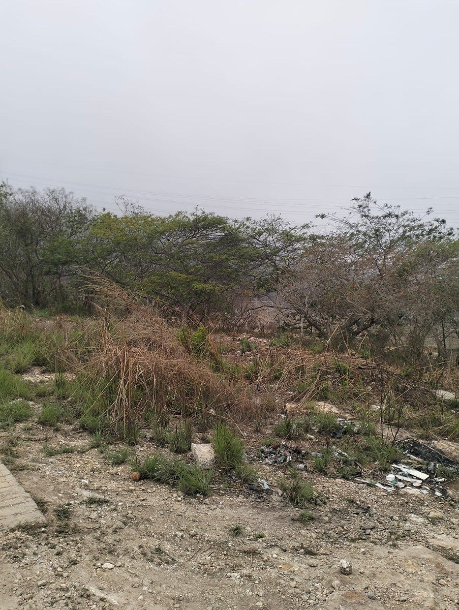 Terreno en Viva Cárdenas, San Fernando, foto 4 de 9