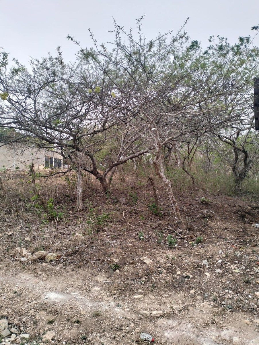 Terreno en Viva Cárdenas, San Fernando, foto 5 de 9