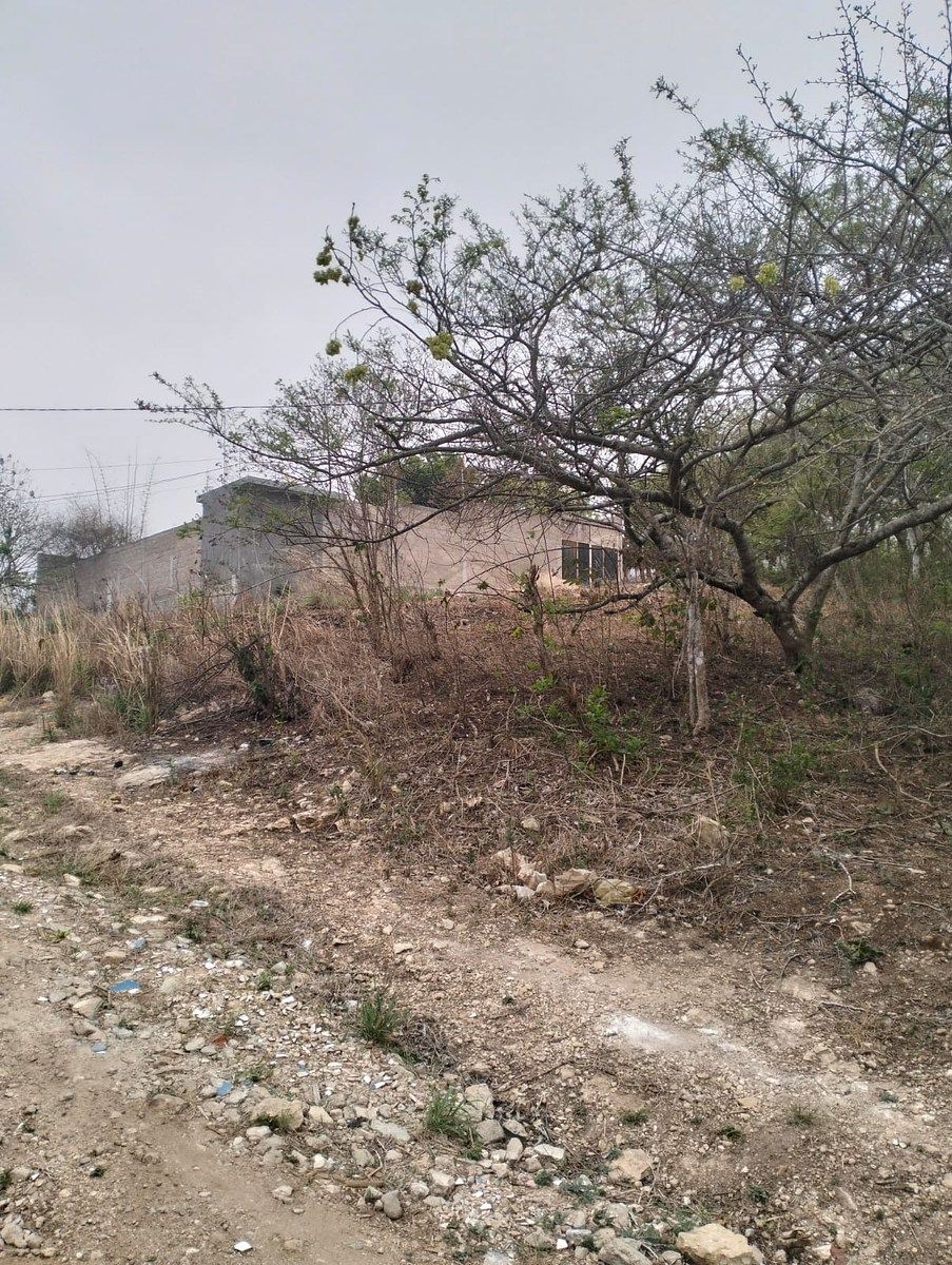 Terreno en Viva Cárdenas, San Fernando, foto 6 de 9