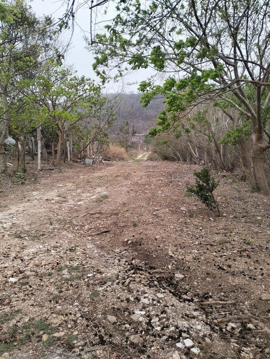 Terreno en Viva Cárdenas, San Fernando, foto 8 de 9