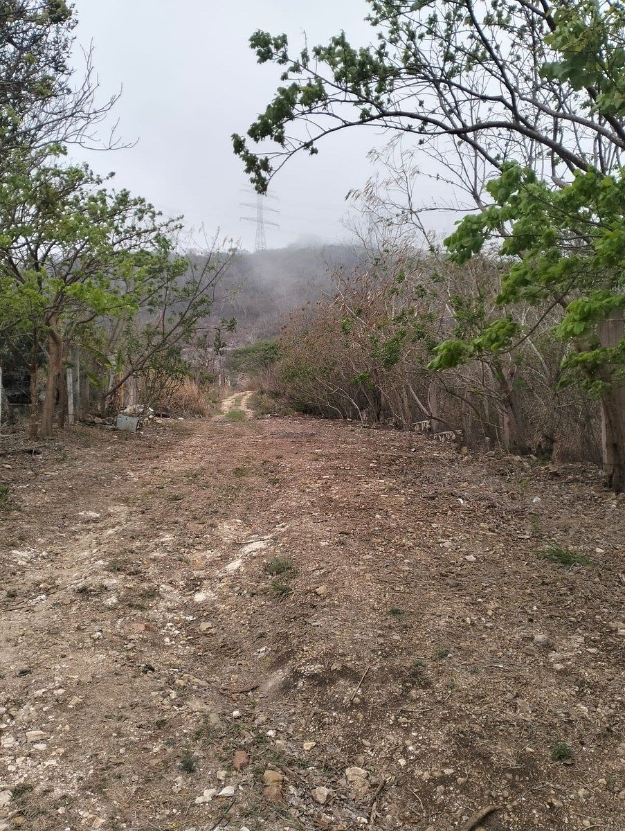 Terreno en Viva Cárdenas, San Fernando, foto 9 de 9