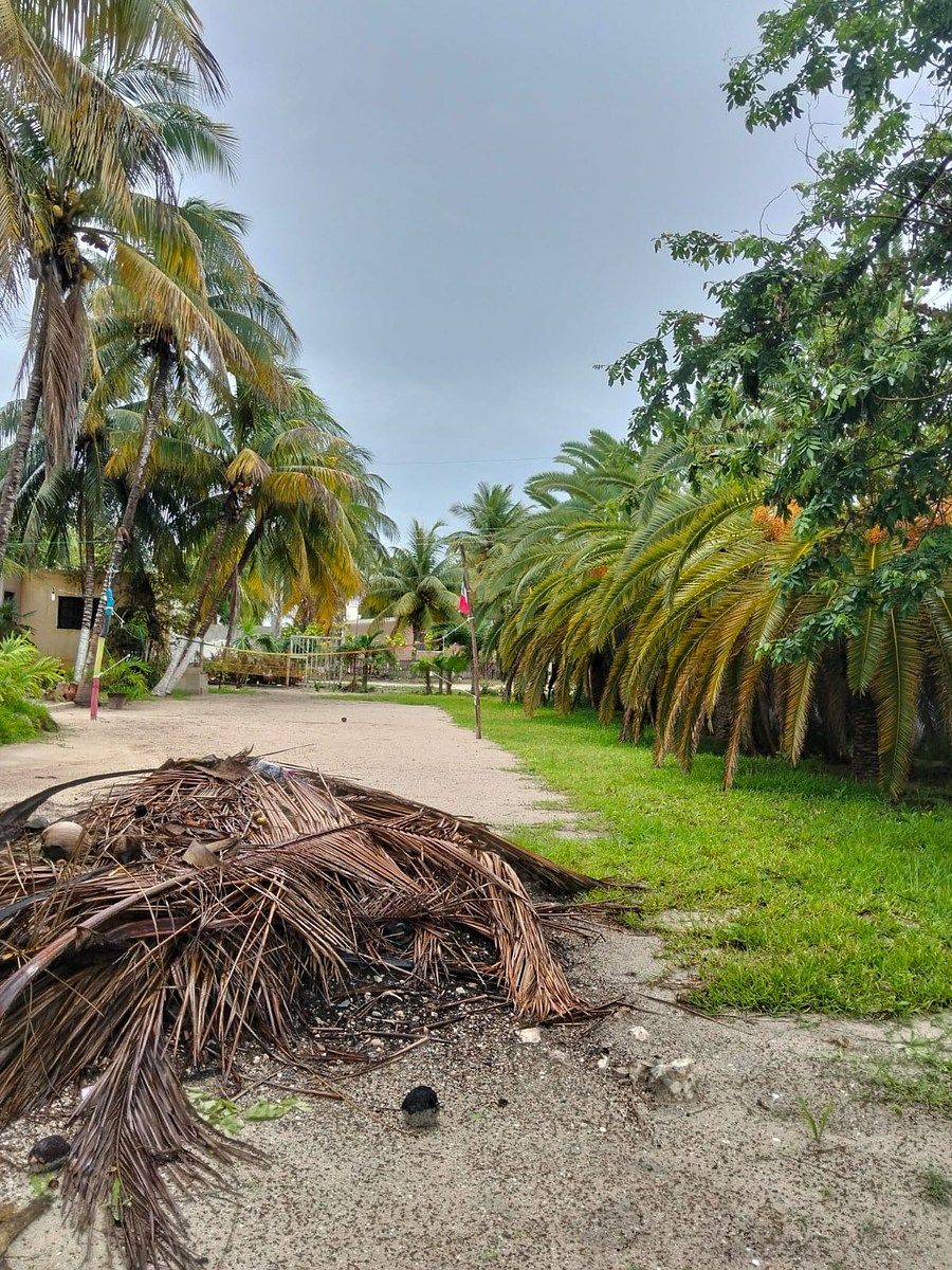 📍 TERRENO EN VENTA — CHELEM, YUCATÁN, photo 1 of 5