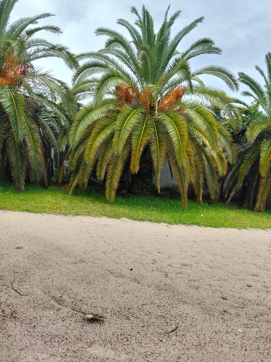 Lot in Chelem, Progreso, photo 2 of 5