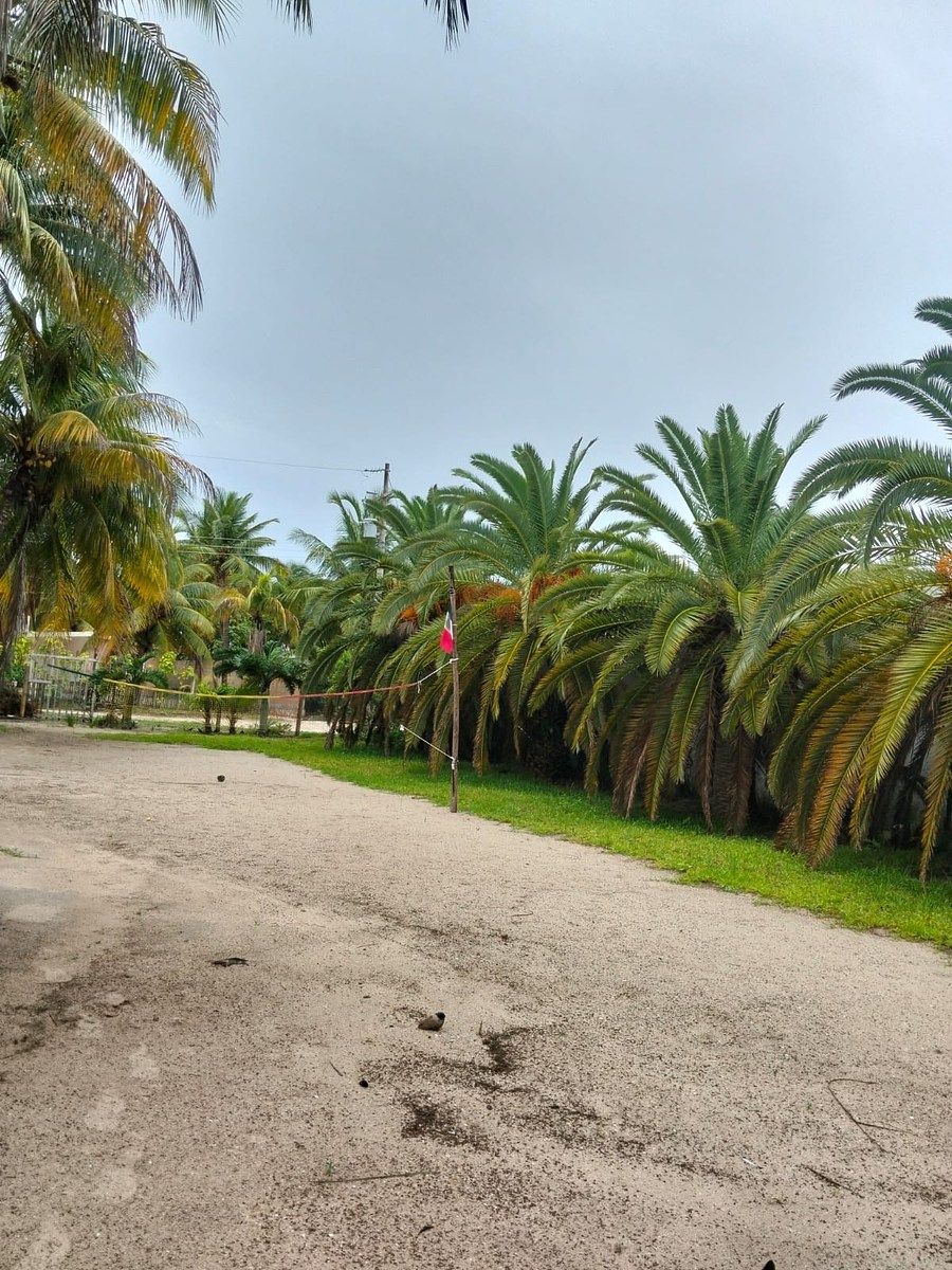 Lot in Chelem, Progreso, photo 3 of 5