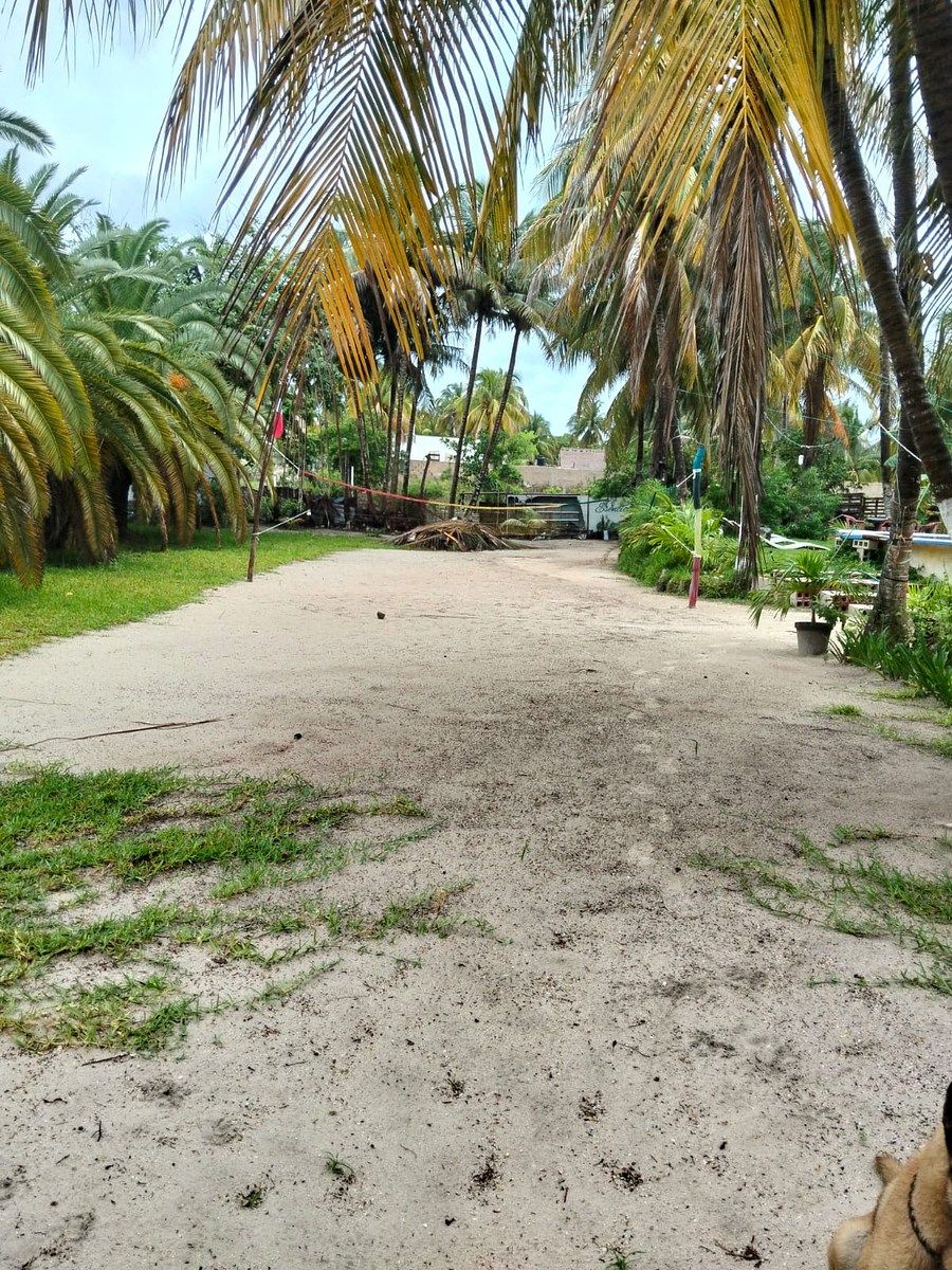 Lot in Chelem, Progreso, photo 4 of 5