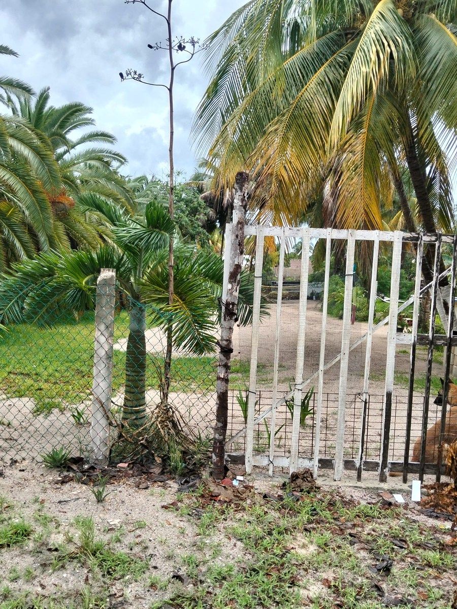 Lot in Chelem, Progreso, photo 5 of 5