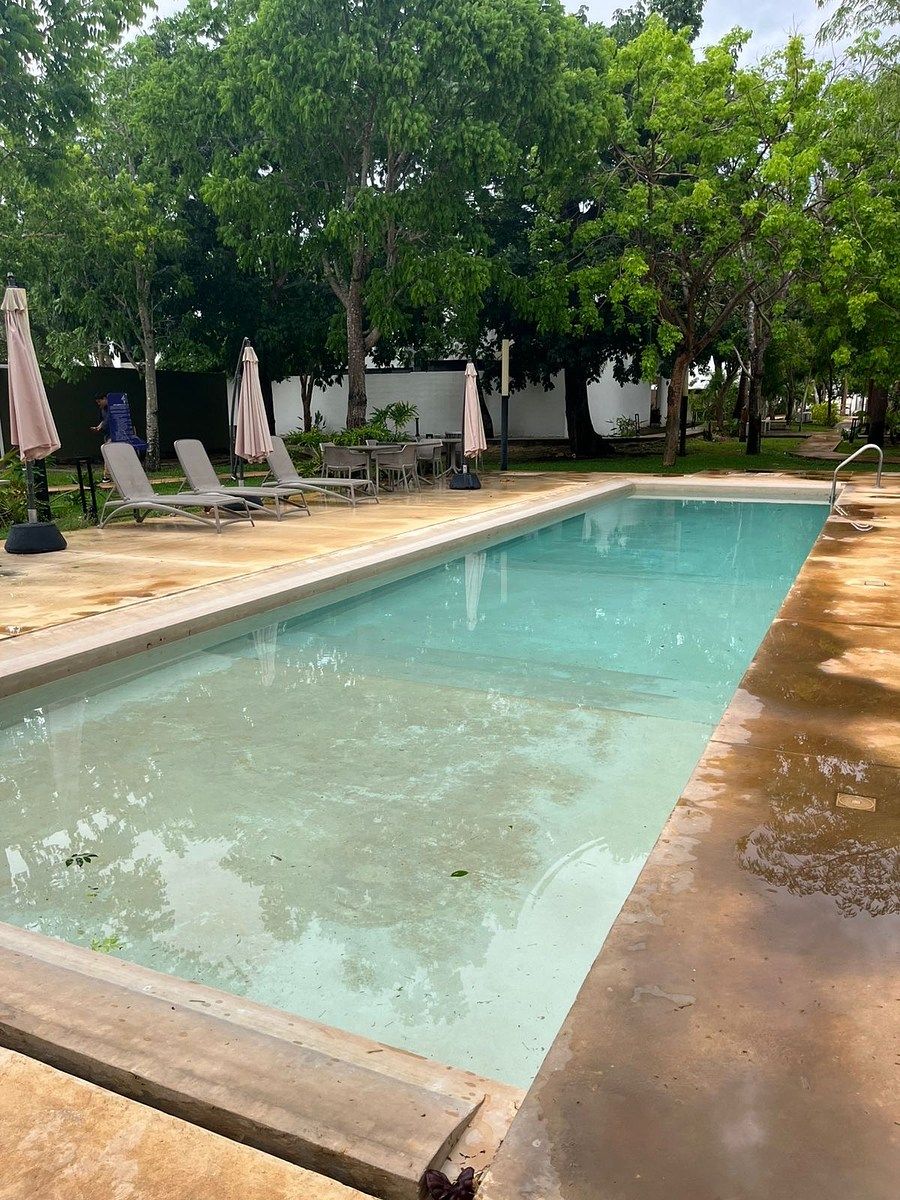 Casa club, photo 15 of 20