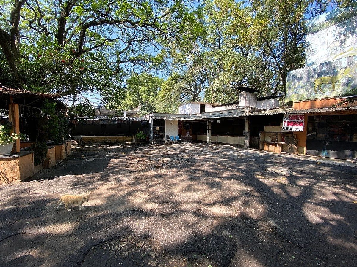 Terreno comercial en Ex-Hacienda de Guadalupe Chimalistac, Álvaro Obregón, foto 12 de 15