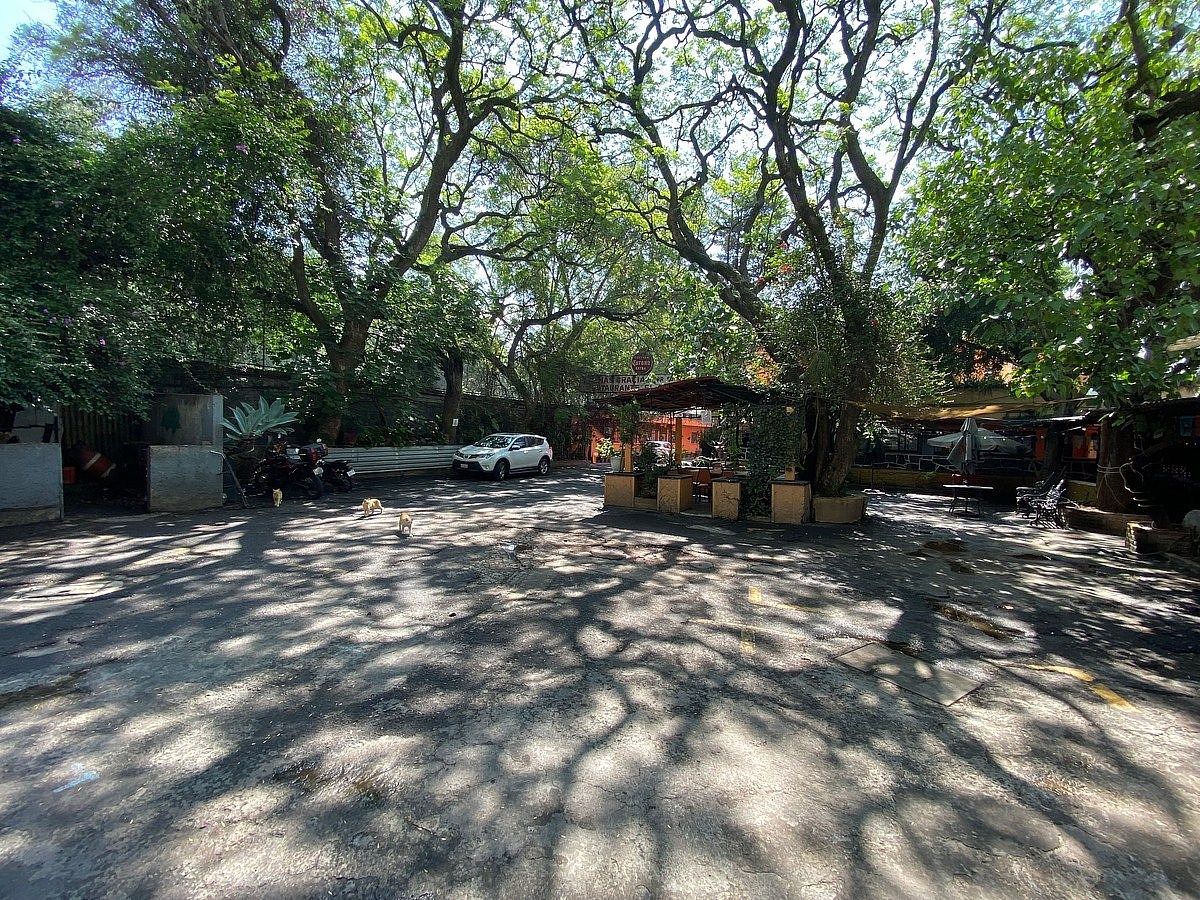 Terreno comercial en Ex-Hacienda de Guadalupe Chimalistac, Álvaro Obregón, foto 13 de 15