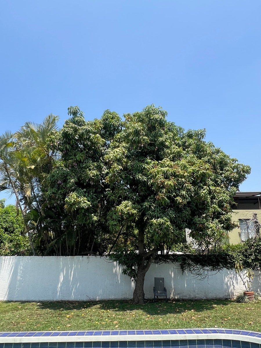 Casa em condomínio fechado em Real Hacienda de San José, Jiutepec, foto 5 de 17