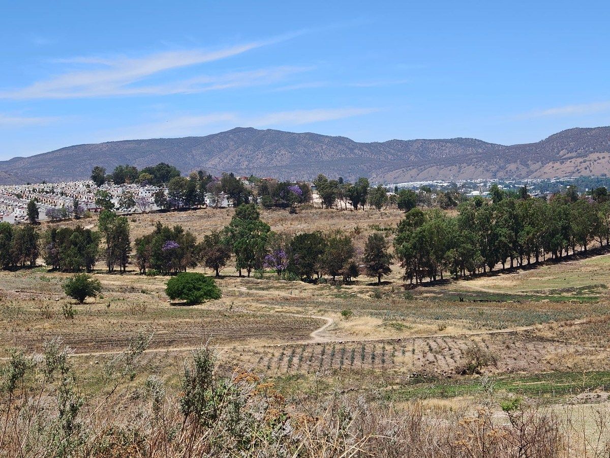 Lote em San Sebastián El Grande, Tlajomulco de Zúñiga, foto 2 de 4
