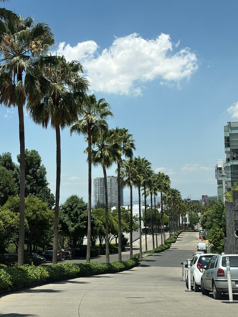 APARTAMENTO/LOMAS DEL PEDREGAL/TLALPAN, foto 1 de 47