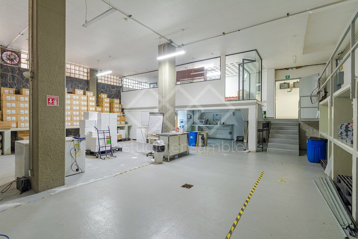 Bodega comercial en San Pedro de los Pinos, Benito Juárez, foto 5 de 9