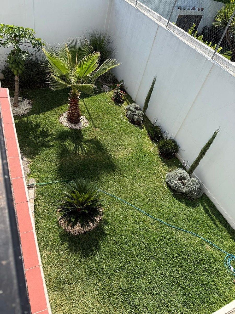 House in 10 de Junio, Morelia, photo 13 of 17
