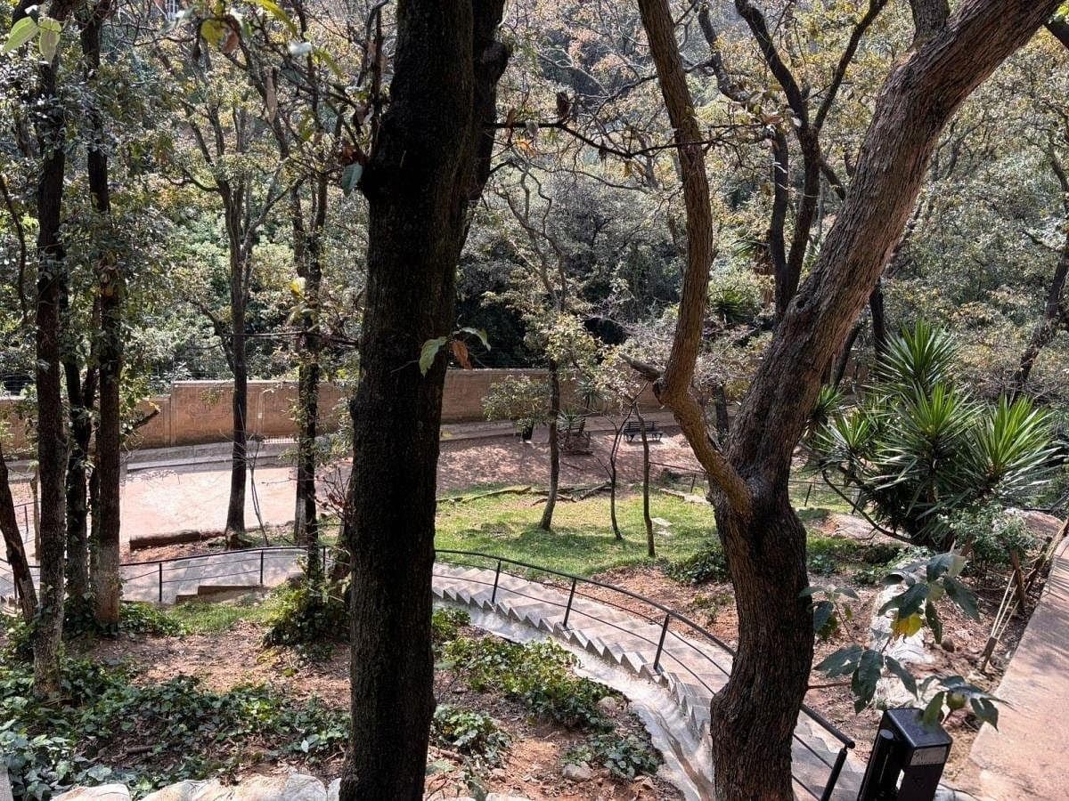 Departamento en Cuajimalpa, Cuajimalpa de Morelos, foto 22 de 35