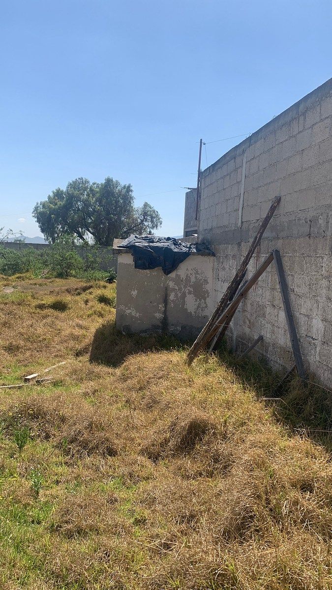 Interior terreno, foto 4 de 5