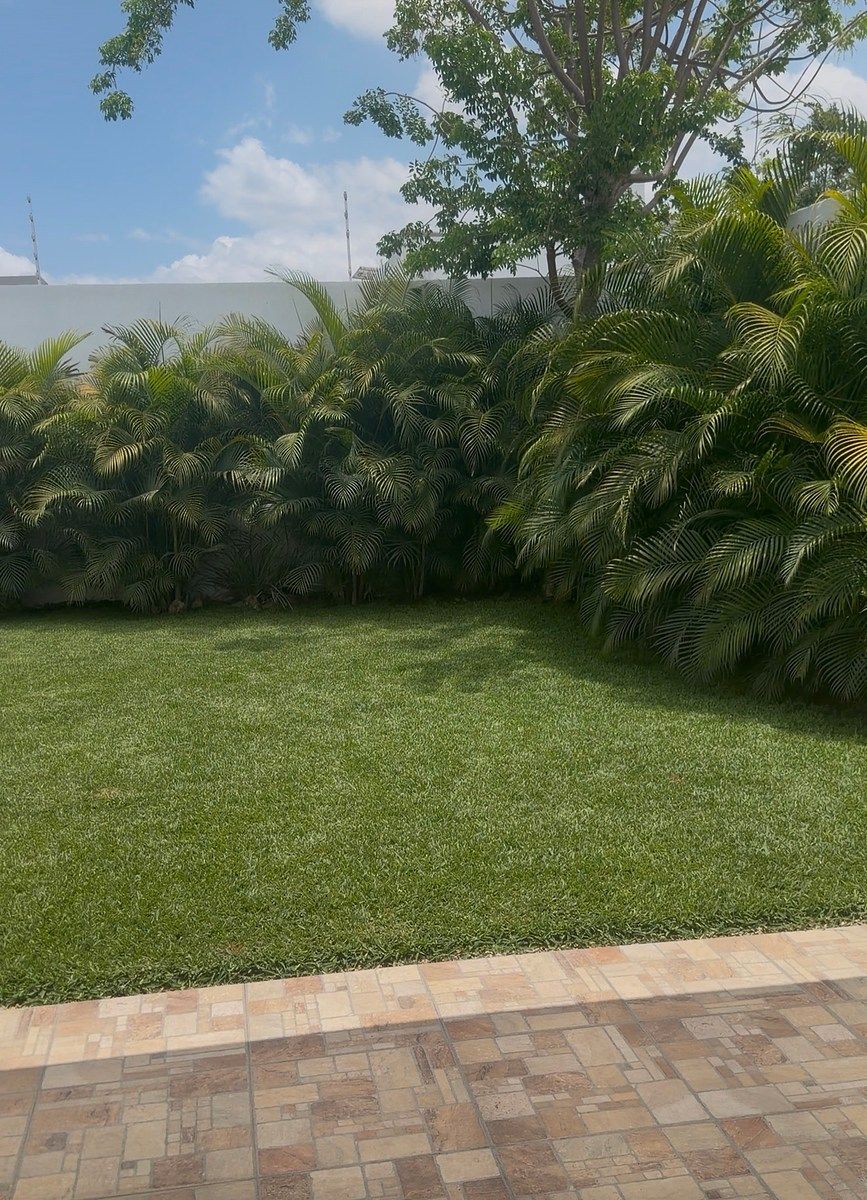House in Dzityá, Mérida, photo 2 of 20