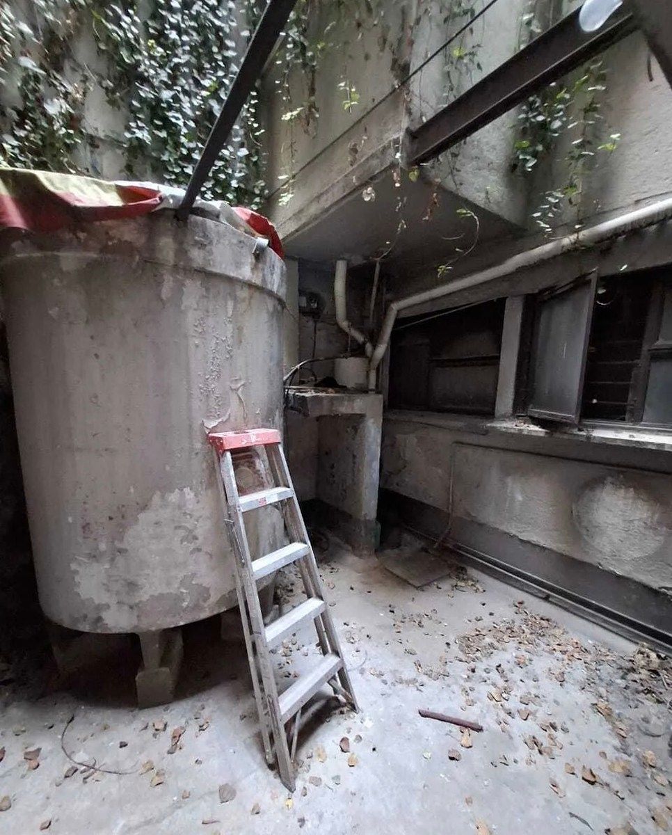 Edificio en Insurgentes San Borja, Benito Juárez, foto 31 de 31